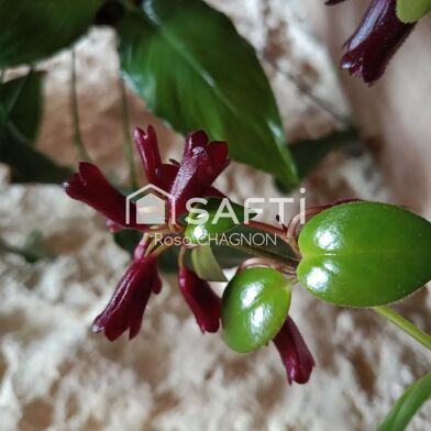 Maison 3 pièces 188663 €