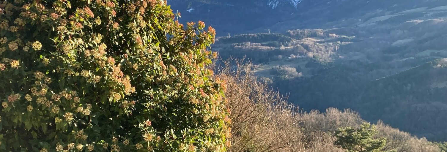 Maison 6 Pièces 81 m² à vendre à La Salle-en-Beaumont (38350)