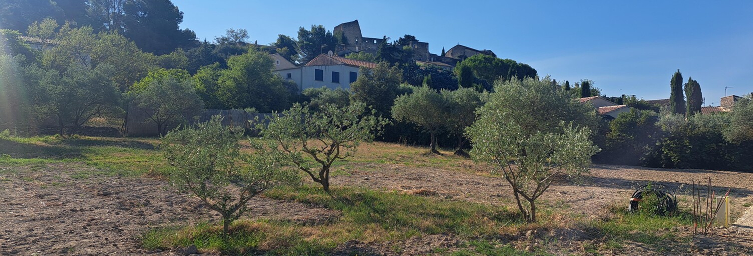 Terrain 780 m² à construire Lagnes (84800)