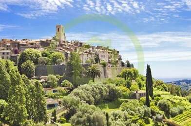 Commerce  320000 €