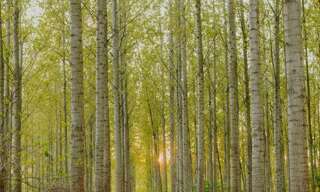 Terrain  18 m² à vendre à Varinfroy (60890)