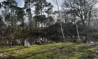 Terrain  7284 m² à vendre à Montendre (17130)