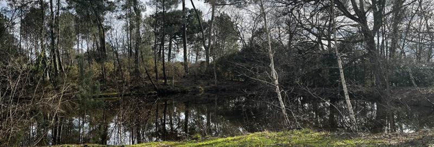 Terrain  7284 m² à vendre à Montendre (17130)