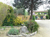 A VENDRE APPARTEMENT AVEC COMMERCE À Durfort-Et-Saint-Martin-De-Sossenac — photo 4