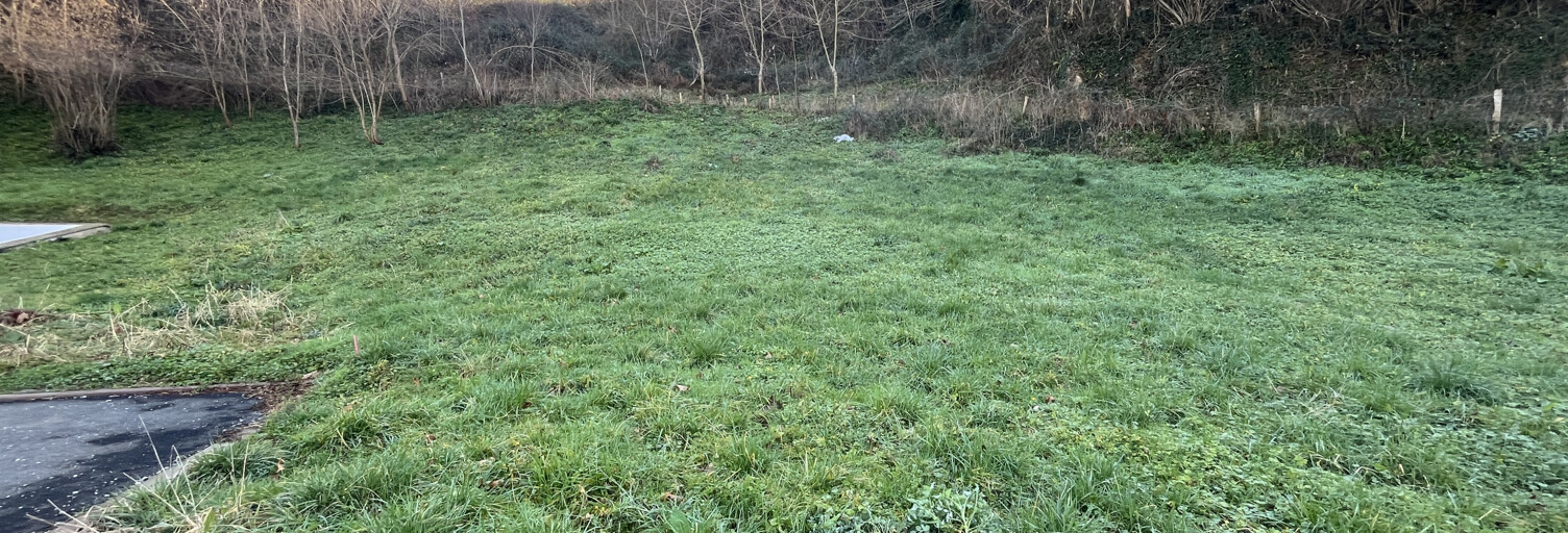 Terrain  773 m² à vendre à Saint-Michel (64220)