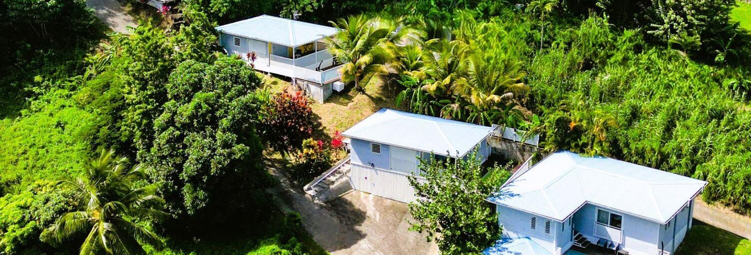 Maison 10 Pièces 249 m² à vendre à Le François (97240)