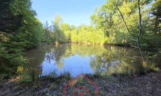 Terrain  129230 m² à vendre à Nouan-le-Fuzelier (41600)