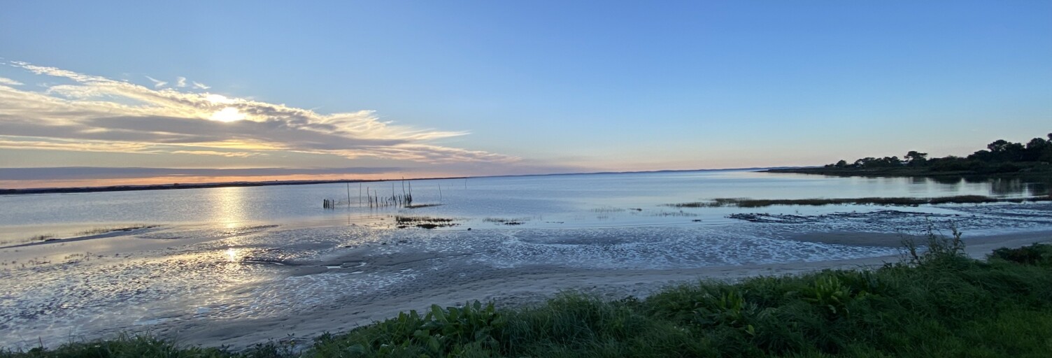 Maison 5 Pièces 150 m² à vendre à Lanton (33138)