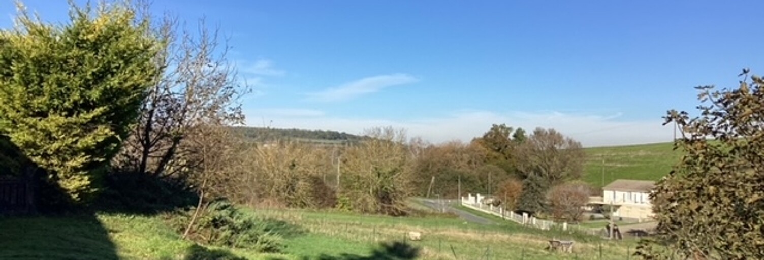 Maison 8 Pièces 254 m² à vendre à Chalais (16210)