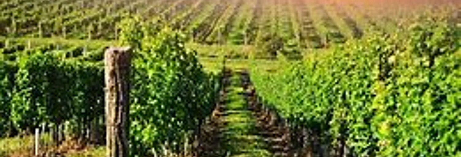 Appartement 2 Pièces 27 m² à vendre à Barr (67140)