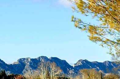 Maison 5 pièces 575000 €