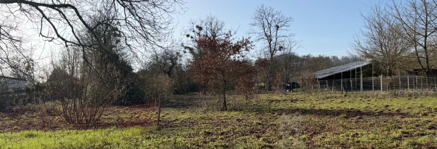 Terrain  3000 m² à vendre à Villandraut (33730)