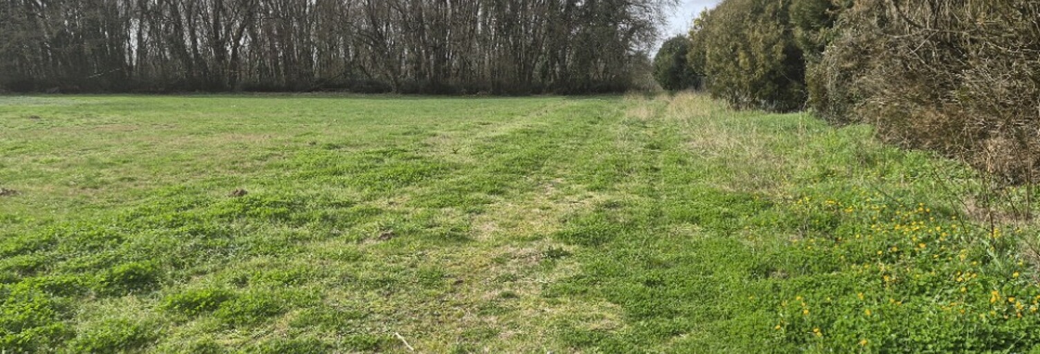 Terrain  1355 m² à vendre à Gémozac (17260)