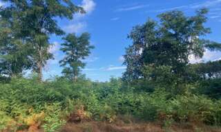 Terrain 800 m² à construire Salles (33770)