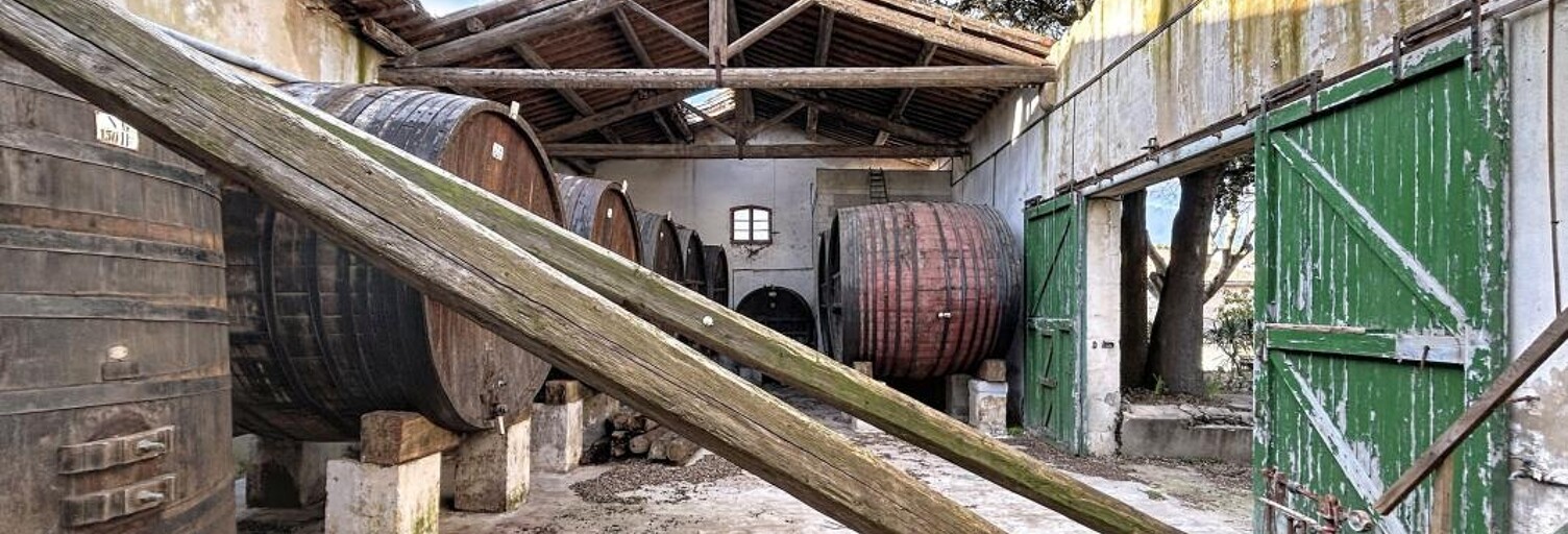 Maison 2 Pièces 450 m² à vendre à Teyran (34820)