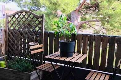 Appartement 3 pièces 829 €