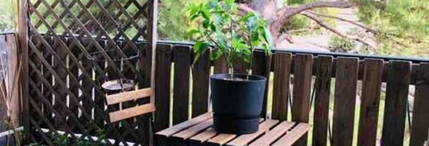 Appartement 3 Pièces 51 m² à louer à Montpellier (34090)