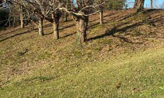 Terrain  14782 m² à vendre à Mouguerre (64990)