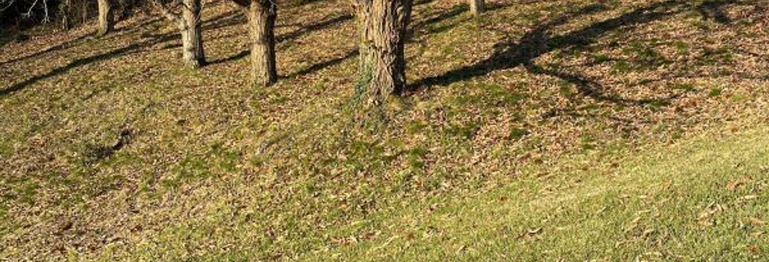 Terrain  14782 m² à vendre à Mouguerre (64990)