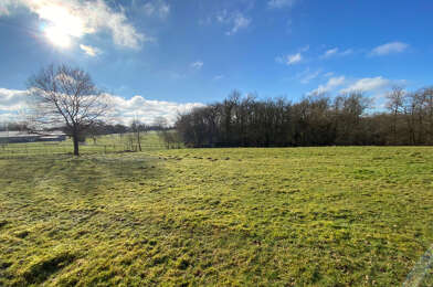 Terrain  44000 €