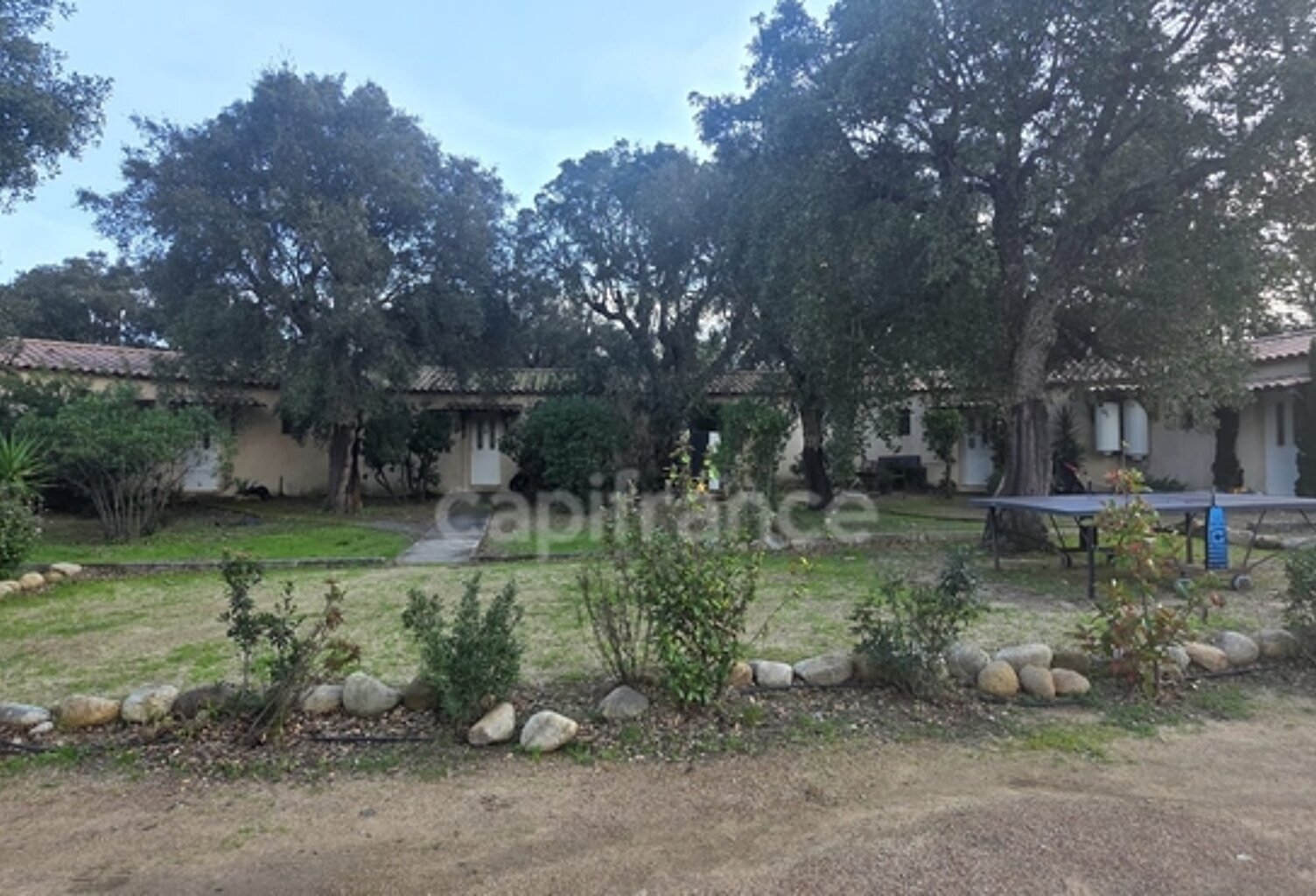 Terrain de + de 7900m2 avec 6 maisonettes LECCI (20) — photo 1