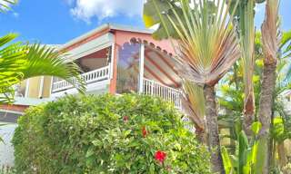 Appartement 3 Pièces 49 m² à vendre à Saint-François (97118)