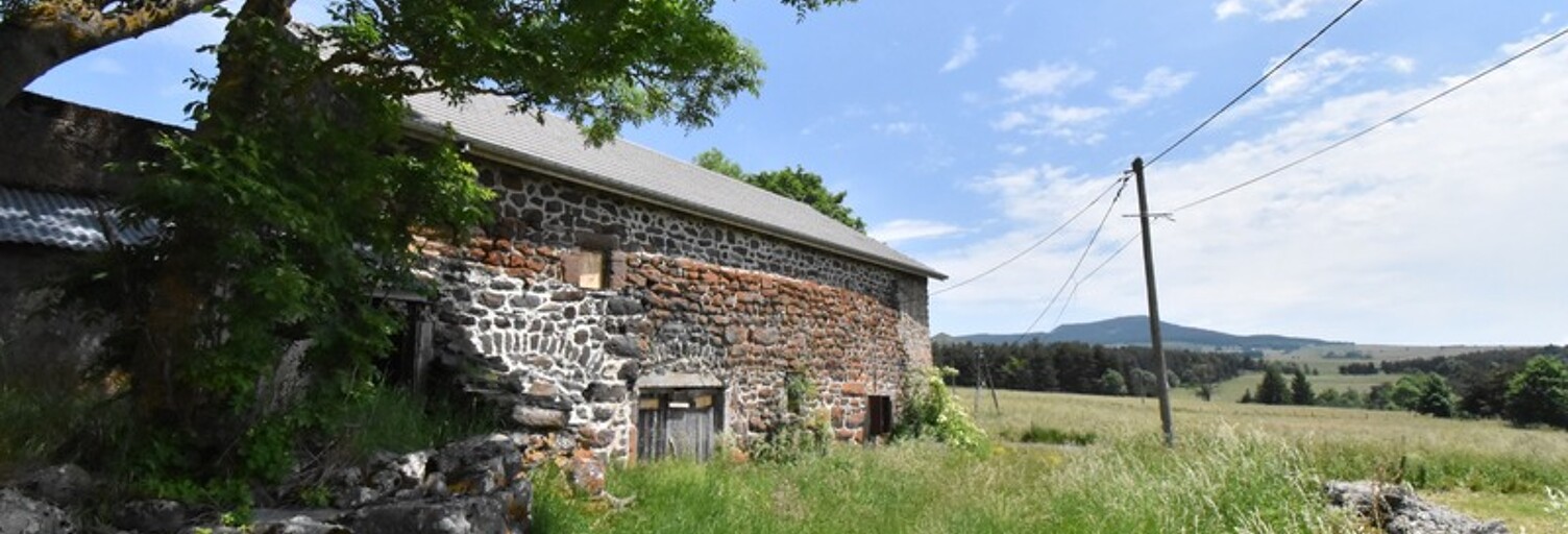 Maison 2 Pièces 180 m² à vendre à Saint-Front (43550)