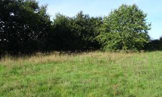 Terrain  1535 m² à vendre à Héricourt-en-Caux (76560)