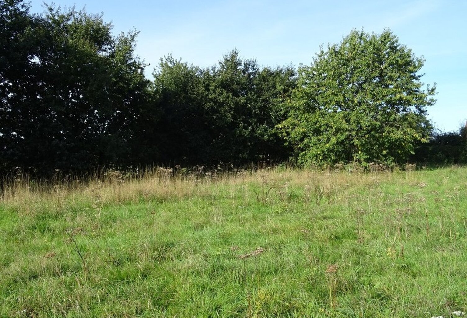 Dpt Seine Maritime (76), à vendre OHERVILLE terrain à bâtir — photo 1