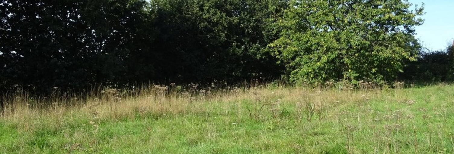 Terrain  1535 m² à vendre à Oherville (76560)