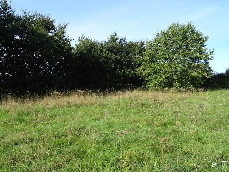Dpt Seine Maritime (76), à vendre OHERVILLE terrain à bâtir — photo 1