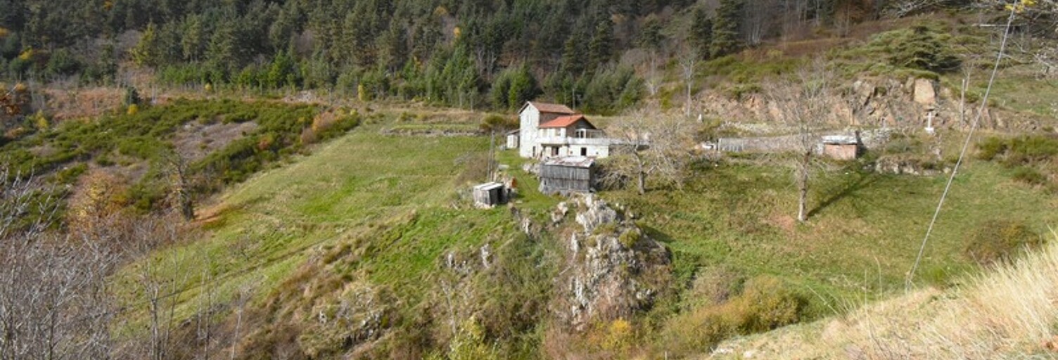 Maison 5 Pièces 86 m² à vendre à Rochepaule (07320)