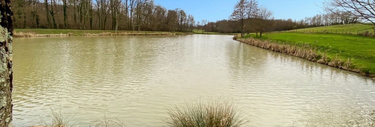 Commerce  15080 m² à vendre à Dommartin-lès-Cuiseaux (71480)