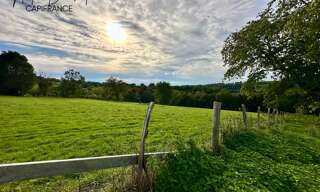 Terrain  4630 m² à vendre à Maizilly (42750)