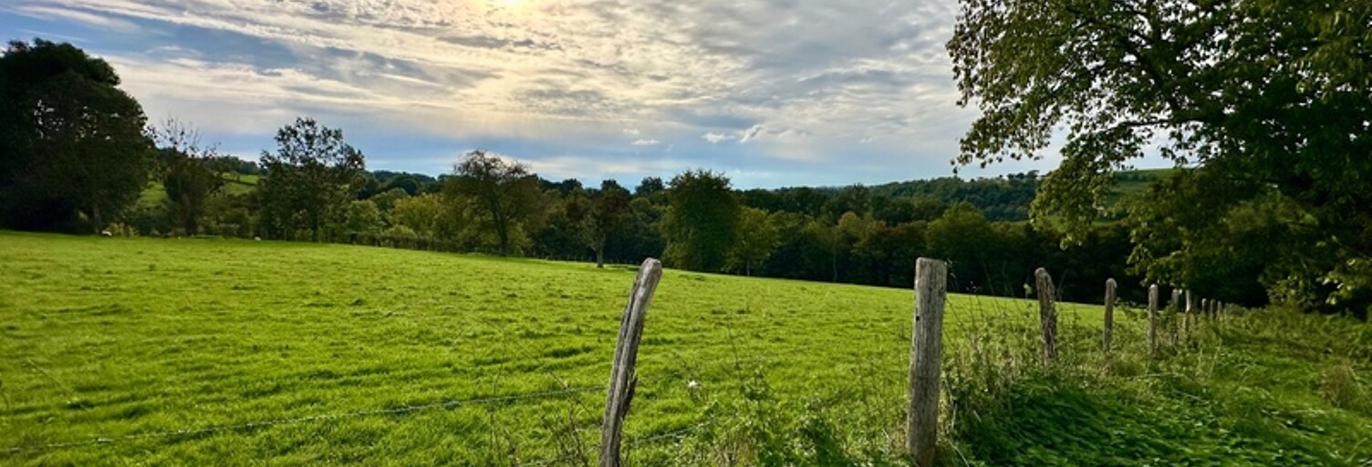 Terrain  4630 m² à vendre à Maizilly (42750)