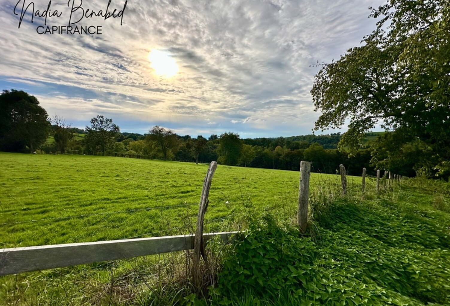 MAIZILLY - Terrain de 4 630,00 m² viabilisable et divisible — photo 1