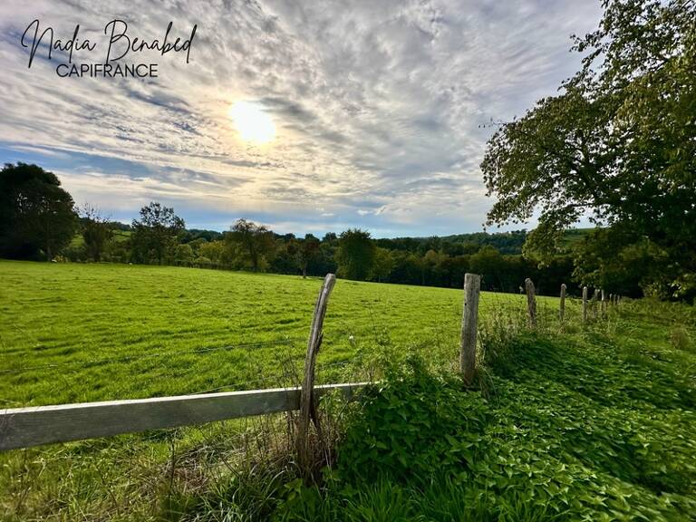 MAIZILLY - Terrain de 4 630,00 m² viabilisable et divisible — photo 1