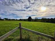 MAIZILLY - Terrain de 4 630,00 m² viabilisable et divisible — photo 3