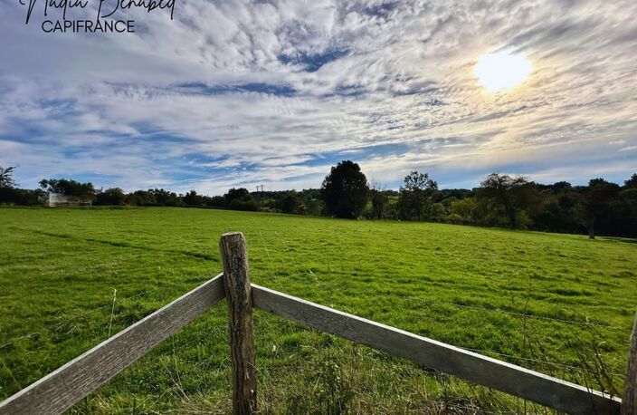 MAIZILLY - Terrain de 4 630,00 m² viabilisable et divisible — photo 3