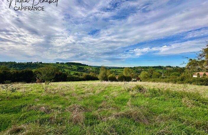 MAIZILLY - Terrain de 4 630,00 m² viabilisable et divisible — photo 4