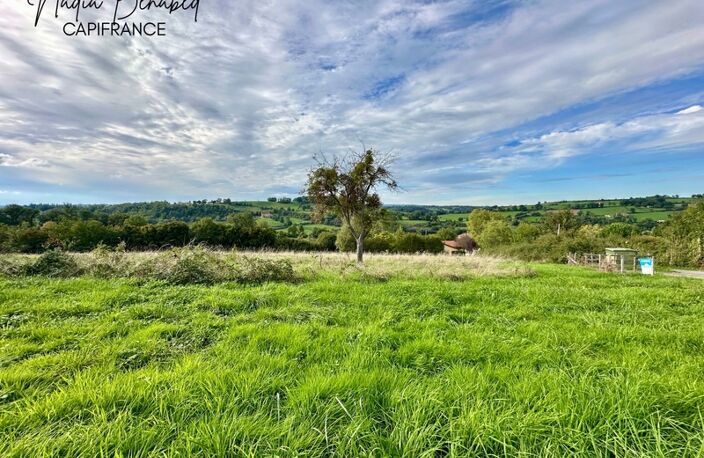 MAIZILLY - Terrain de 4 630,00 m² viabilisable et divisible — photo 5