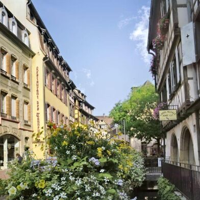 Appartement 3 pièces 1000 €