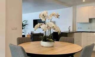 Appartement 3 Pièces 54 m² à louer à Villeurbanne (69100)