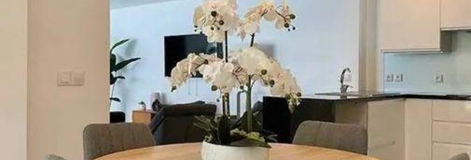 Appartement 3 Pièces 54 m² à louer à Villeurbanne (69100)