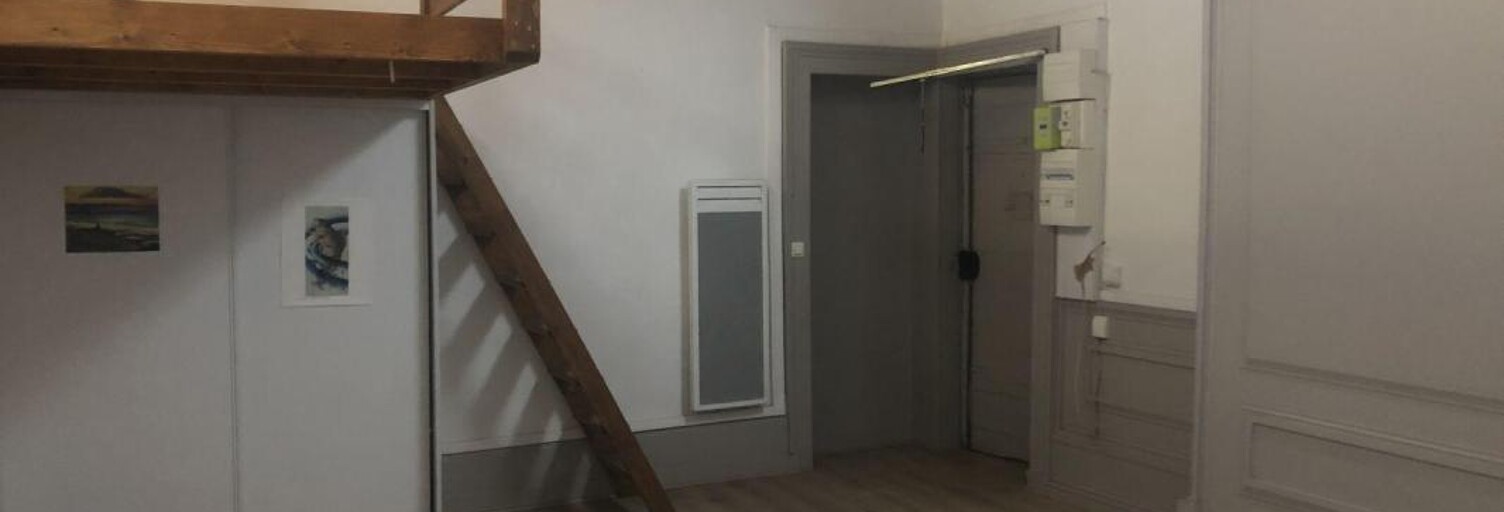 Appartement 1 Pièce 33 m² à louer à Lyon 1 (69001)