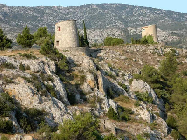 Terrain a Vendre 428m2 11540 Roquefort des Corbières — photo du bien