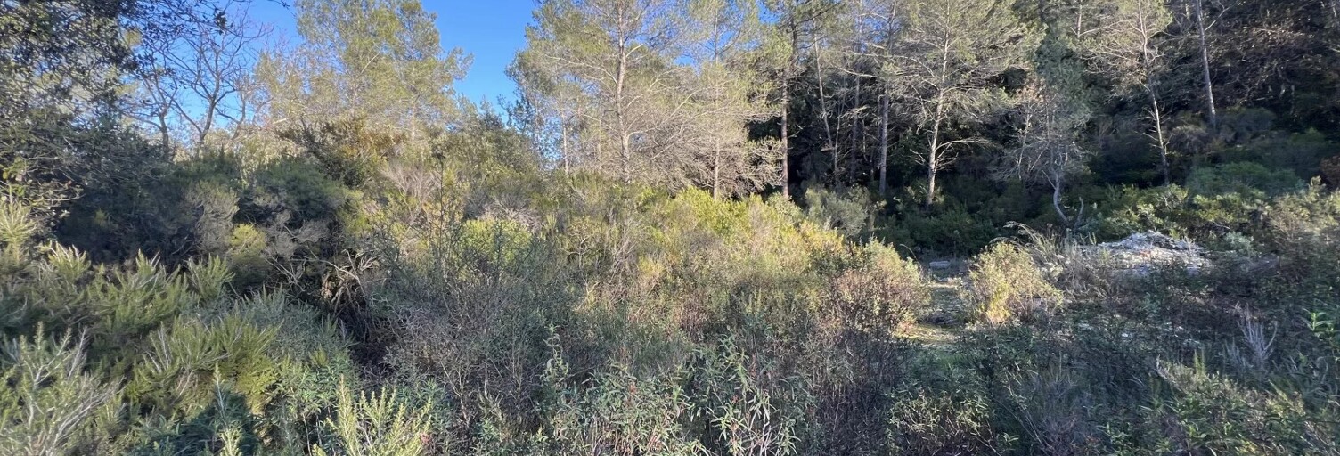 Terrain  1000 m² à vendre à Roquefort-les-Pins (06330)