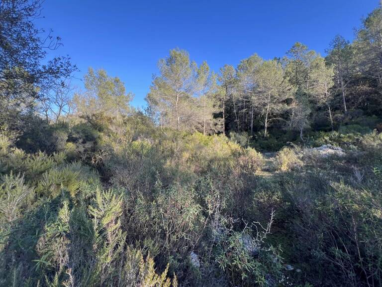 ROQUEFORT LES PINS - Superbe terrain de loisirs - calme absolu — photo 1