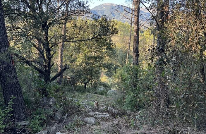 ROQUEFORT LES PINS - Superbe terrain de loisirs - calme absolu — photo 2