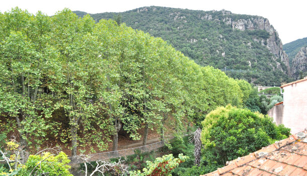 Villa / Maison 10 pièces  à vendre Amélie-les-Bains-Palalda 66110